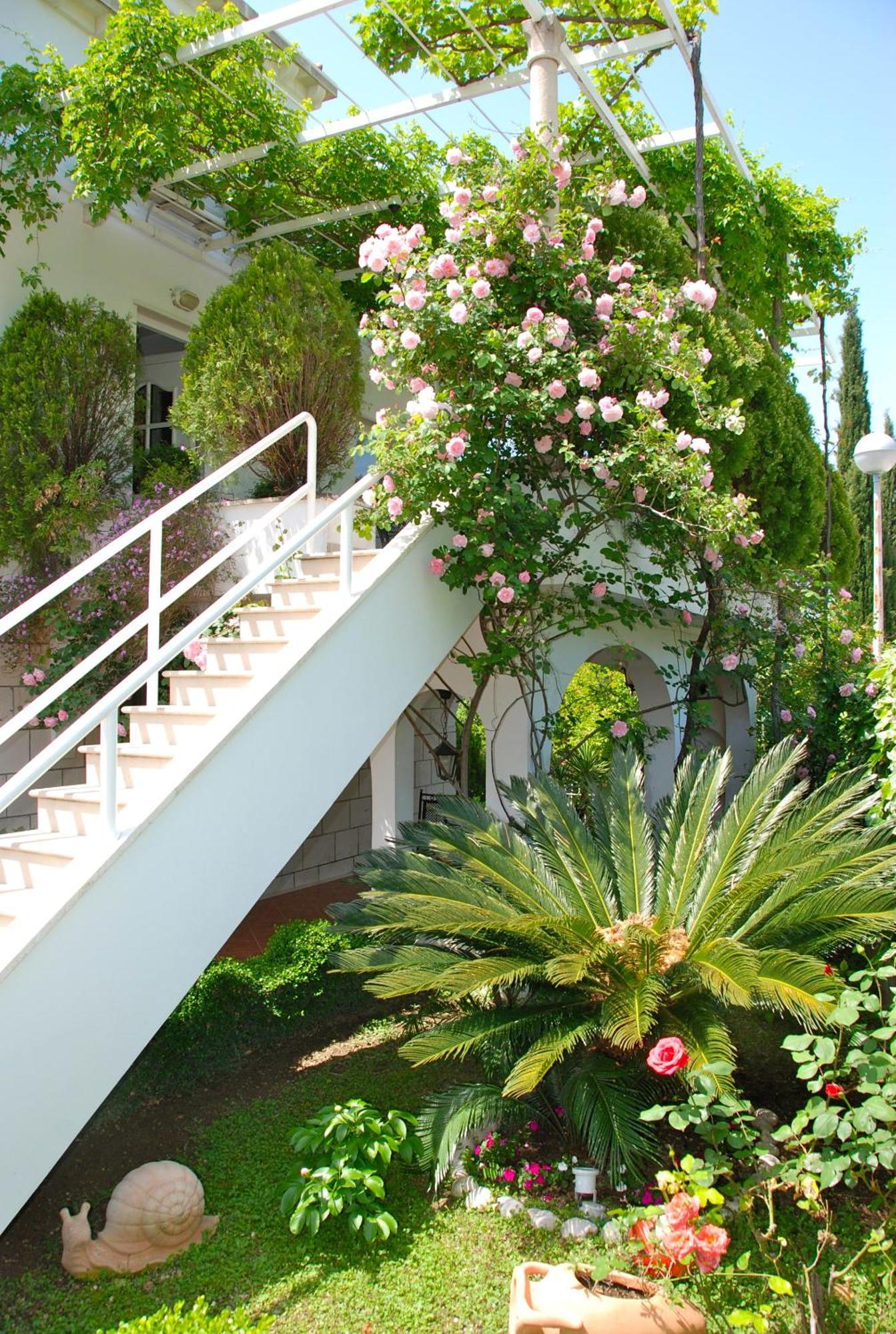 Villa Mediterranea Mlini Kültér fotó