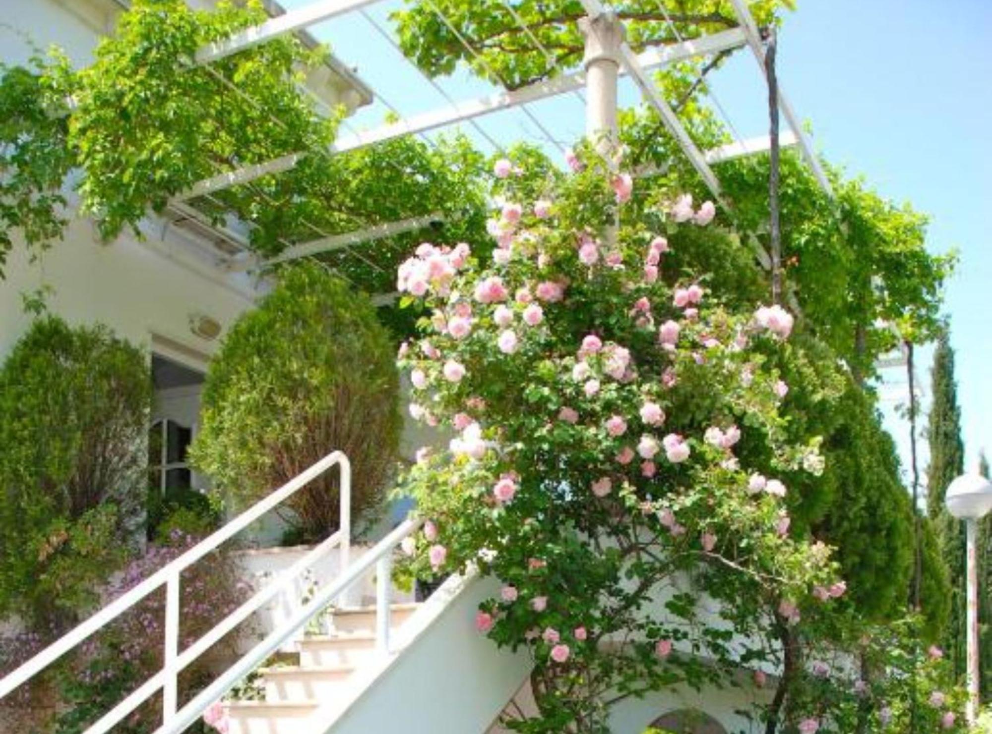 Villa Mediterranea Mlini Kültér fotó